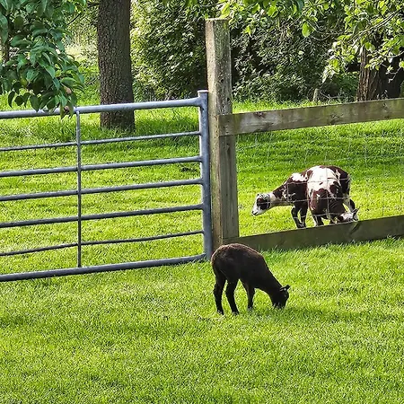 Casa vacanze Het Fruithuisje