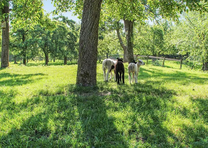 Het Fruithuisje Lexmond