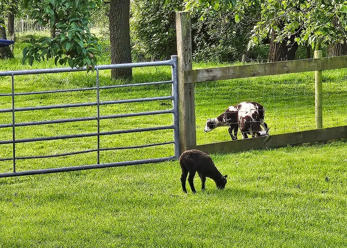 Casa vacanze Het Fruithuisje